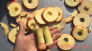 Станок для удаления сердцевины яблока и разрезания на дольки