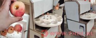 Станок для удаления сердцевины яблока и разрезания на дольки