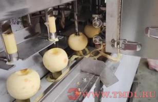 Станок для резки яблок