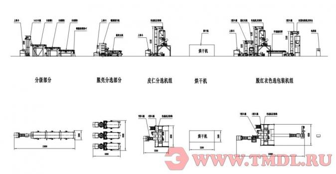 Линия переработки кедрового ореха (600 кг/час)