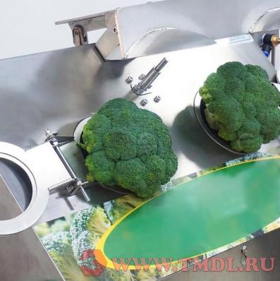 Станок для нарезки соцветий (цветная капуста, брокколи)