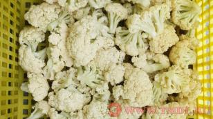 Машина для разделения цветной капусты и брокколи на соцветия