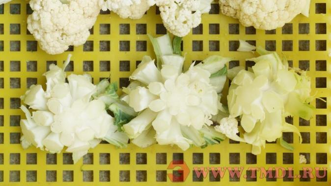 Машина для разделения цветной капусты и брокколи на соцветия