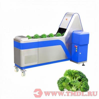 Машина для разделения цветной капусты и брокколи на соцветия