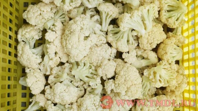 Машина для разделения цветной капусты и брокколи на соцветия